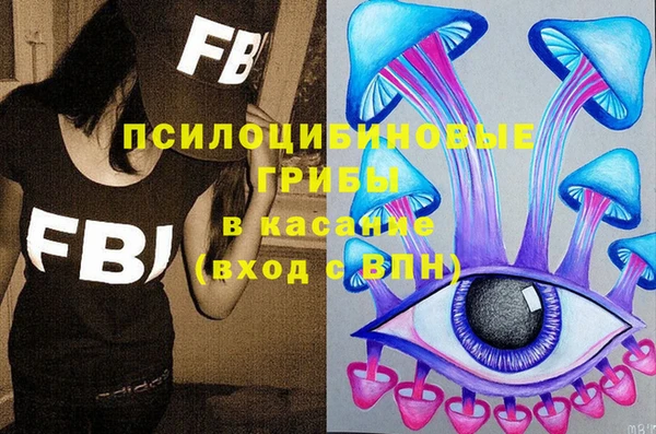 ПСИЛОЦИБИНОВЫЕ ГРИБЫ Няндома