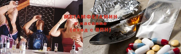 ПСИЛОЦИБИНОВЫЕ ГРИБЫ Няндома